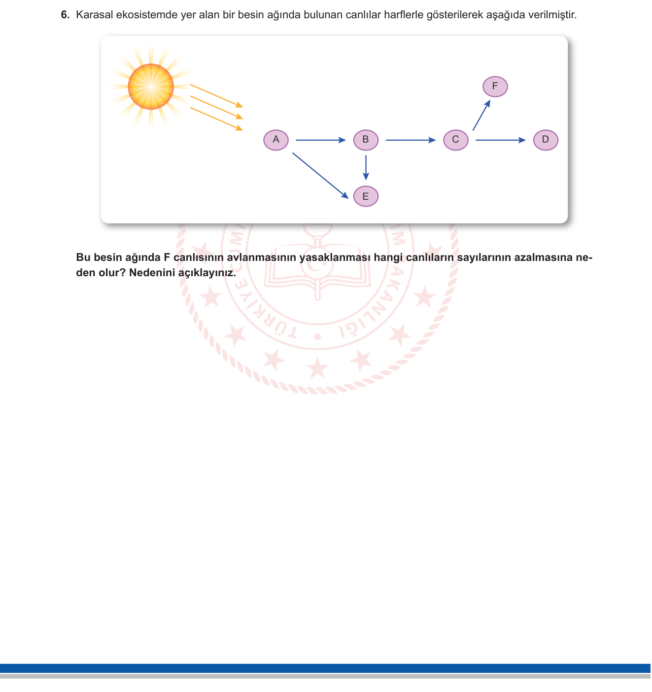 Fen Bilimleri sorusu 5 — 