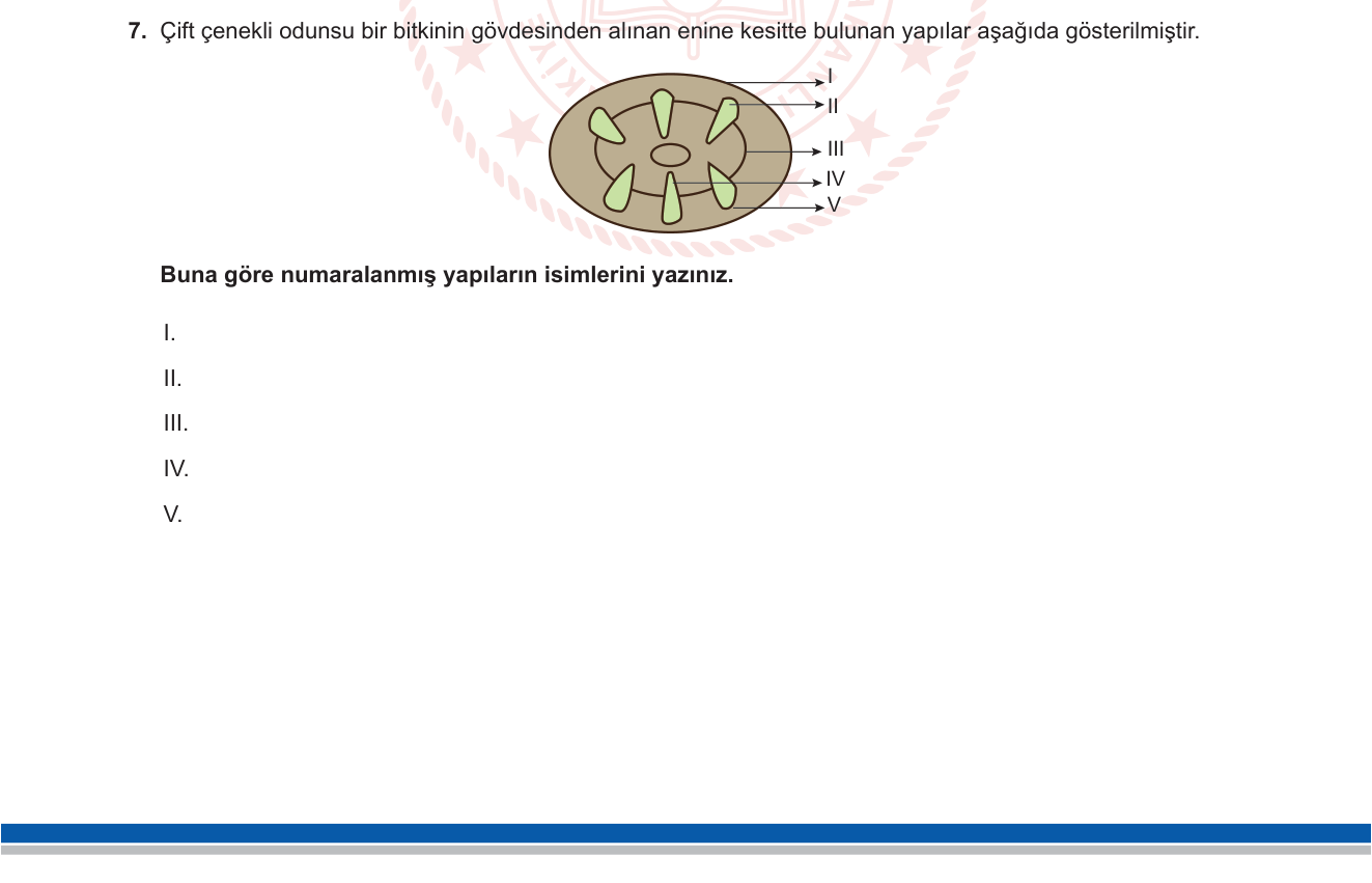 Biyoloji sorusu 31 — 