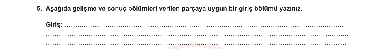 Türkçe sorusu 19 — Yazma becerisi — paragraf yapısı; giriş-gelişme-sonuç; giriş bölümü oluşturma