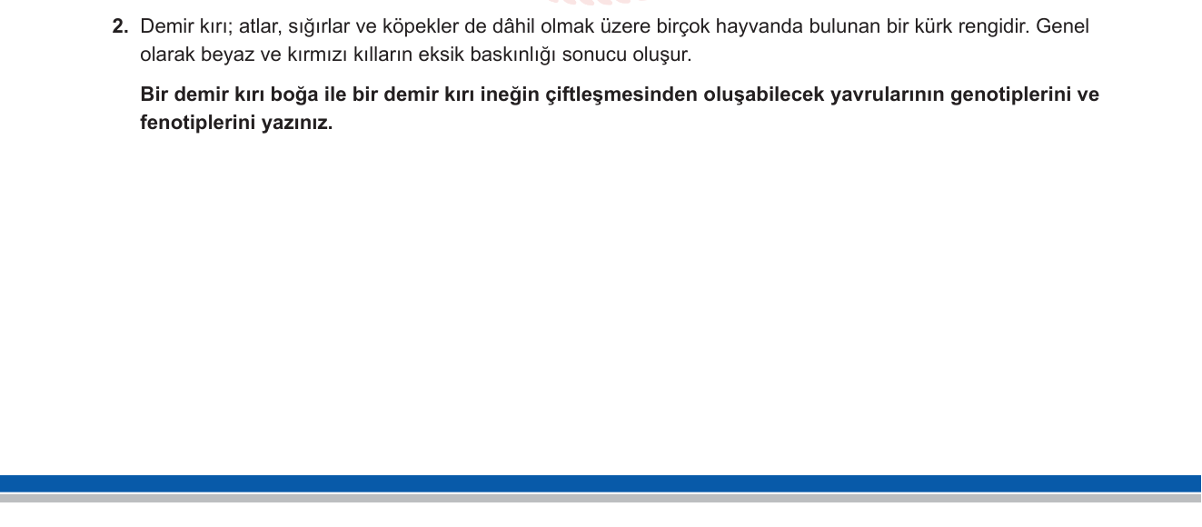 Biyoloji sorusu 17 — Kalıtım — Eksik baskınlık (inkomplet dominans), fenotip oranı (10. sınıf Biyoloji)