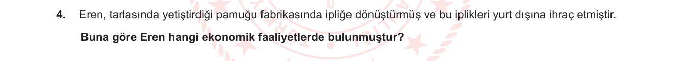 Sosyal Bilgiler sorusu 13 — 