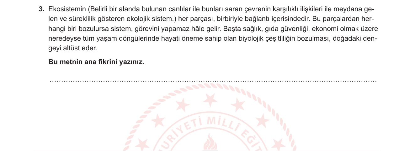Türkçe sorusu 13 — Anlama-Yorumlama: Ana Fikir Bulma