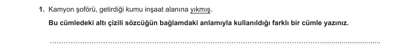 Türkçe sorusu 1 — 