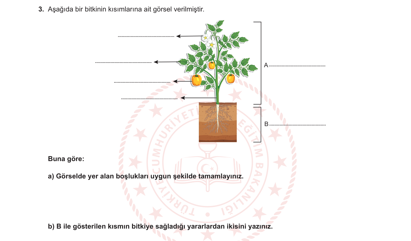 Biyoloji sorusu 45 — 
