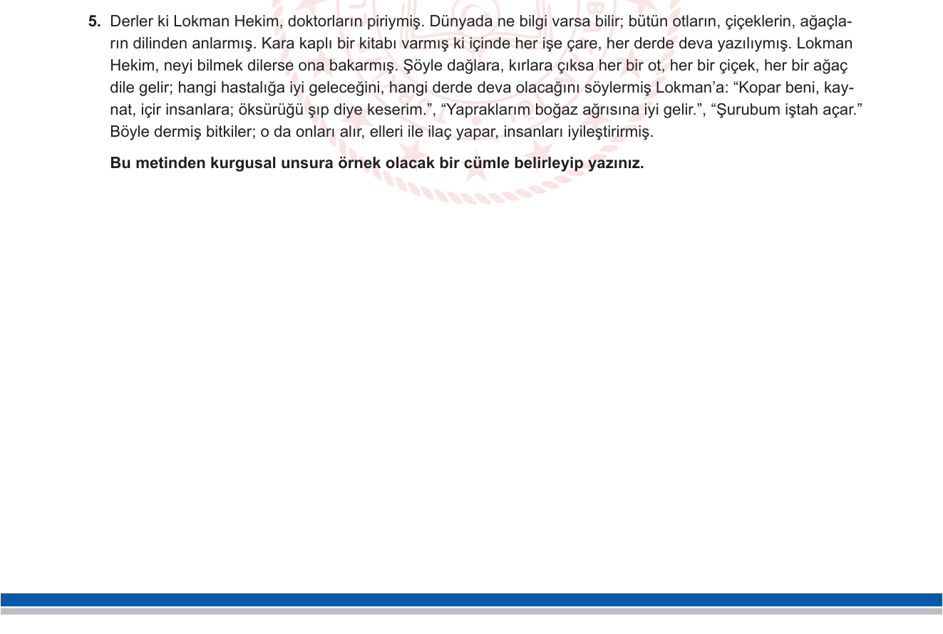 Türkçe sorusu 11 — 