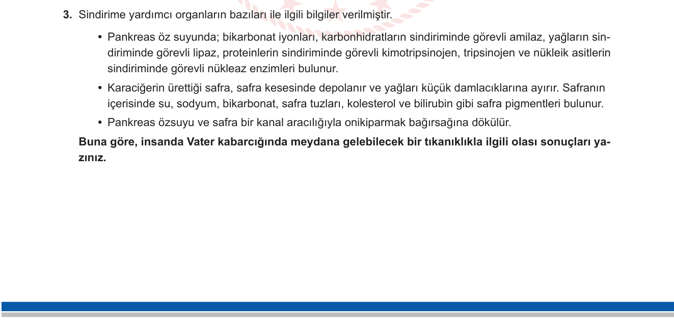 Biyoloji sorusu 3 — Sindirim Sistemi — Pankreas, Safra ve Vater Kabarcığı