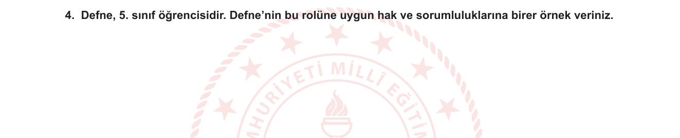 Sosyal Bilgiler sorusu 11 — Sosyal Bilgiler 5. Sınıf — Birey ve Toplum / Rol, Hak ve Sorumluluk