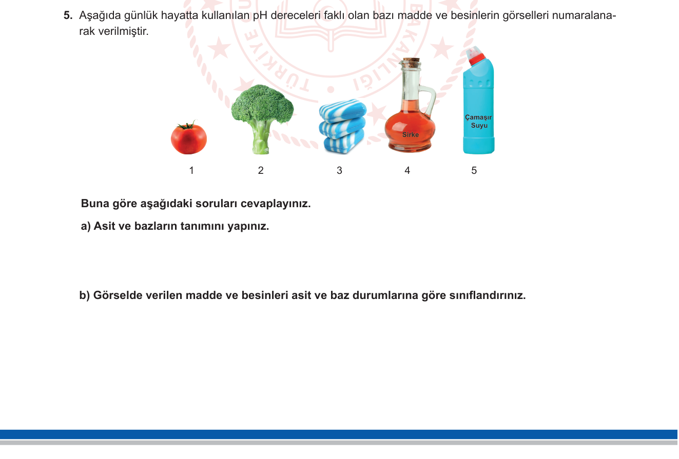 Biyoloji sorusu 14 — Asitler, Bazlar ve pH (İnorganik bileşikler)