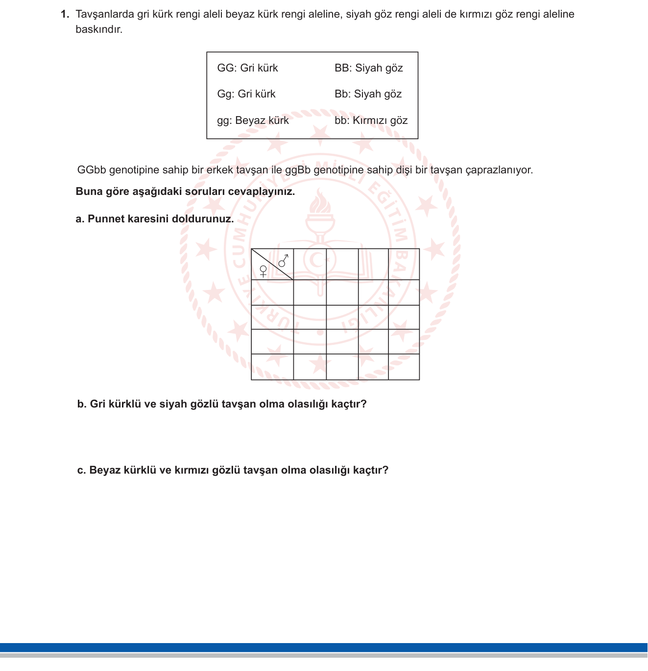 Biyoloji sorusu 9 — Kalıtım — Dihybrid çaprazlama, Mendel yasaları, Punnet karesi (10. sınıf Biyoloji)