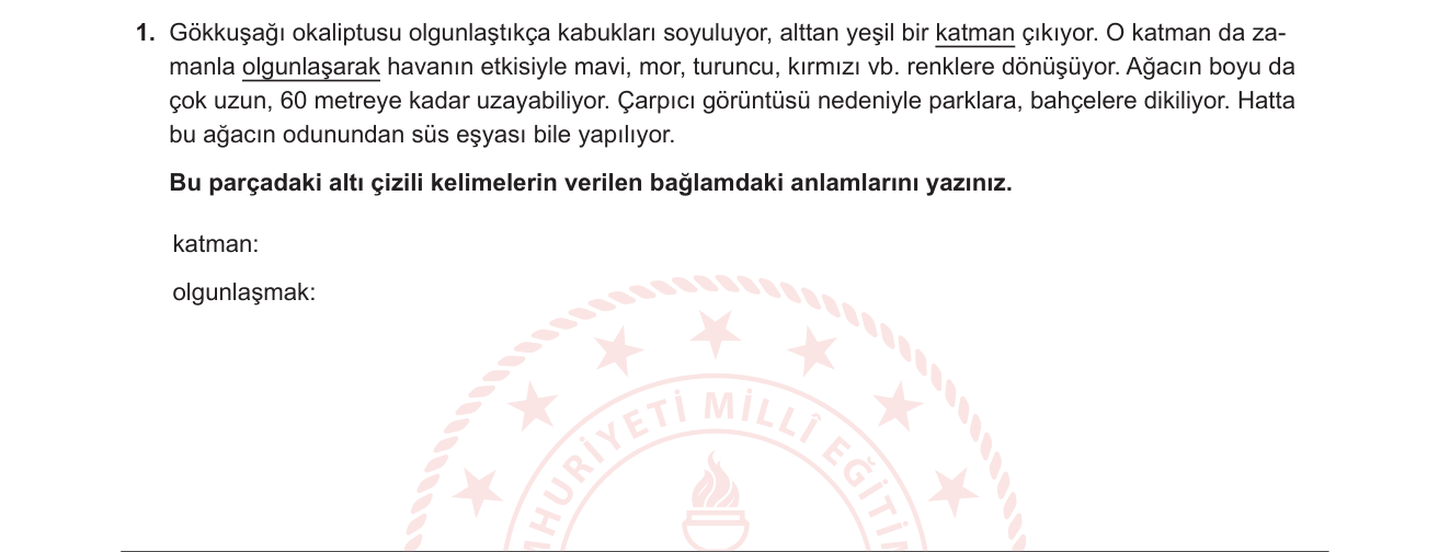 Türkçe sorusu 15 — 