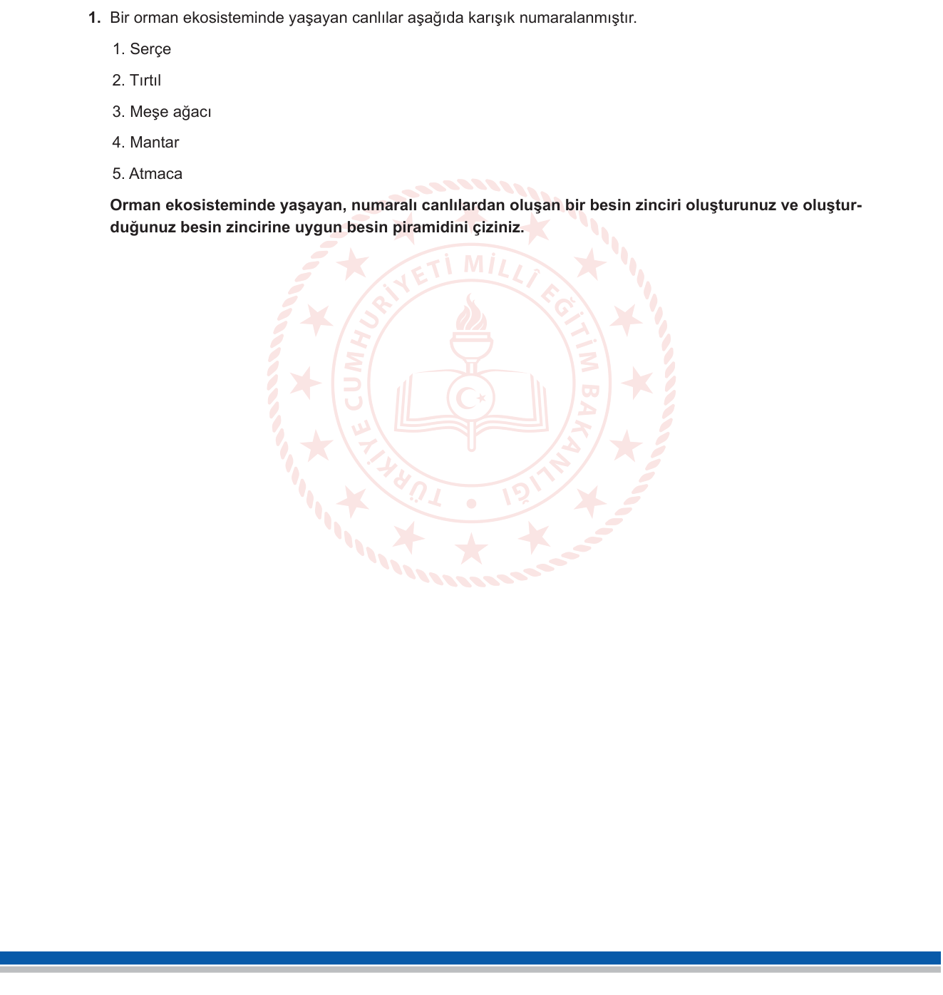 Biyoloji sorusu 1 — Ekosistem, Besin Zinciri ve Enerji Piramidi (10. Sınıf Biyoloji - Ekosistem Ekolojisi)