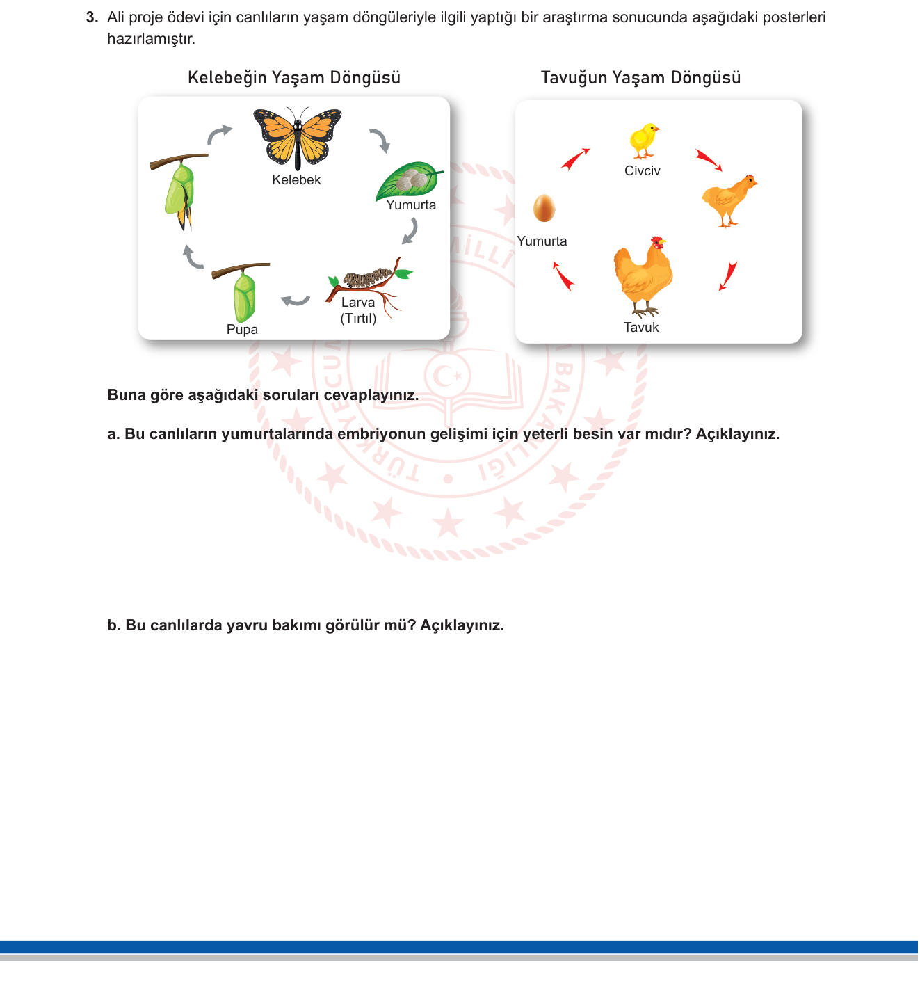 Fen Bilimleri sorusu 2 — Canlılarda Üreme, Büyüme ve Gelişme / Yaşam Döngüleri (7. Sınıf Fen Bilimleri)